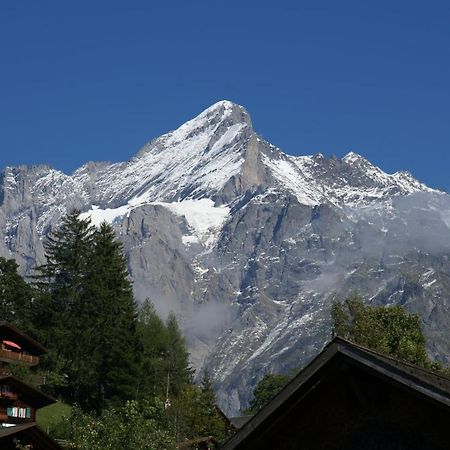 Apartment Baereggblick - Griwa Rent Ag Grindelwald Eksteriør billede