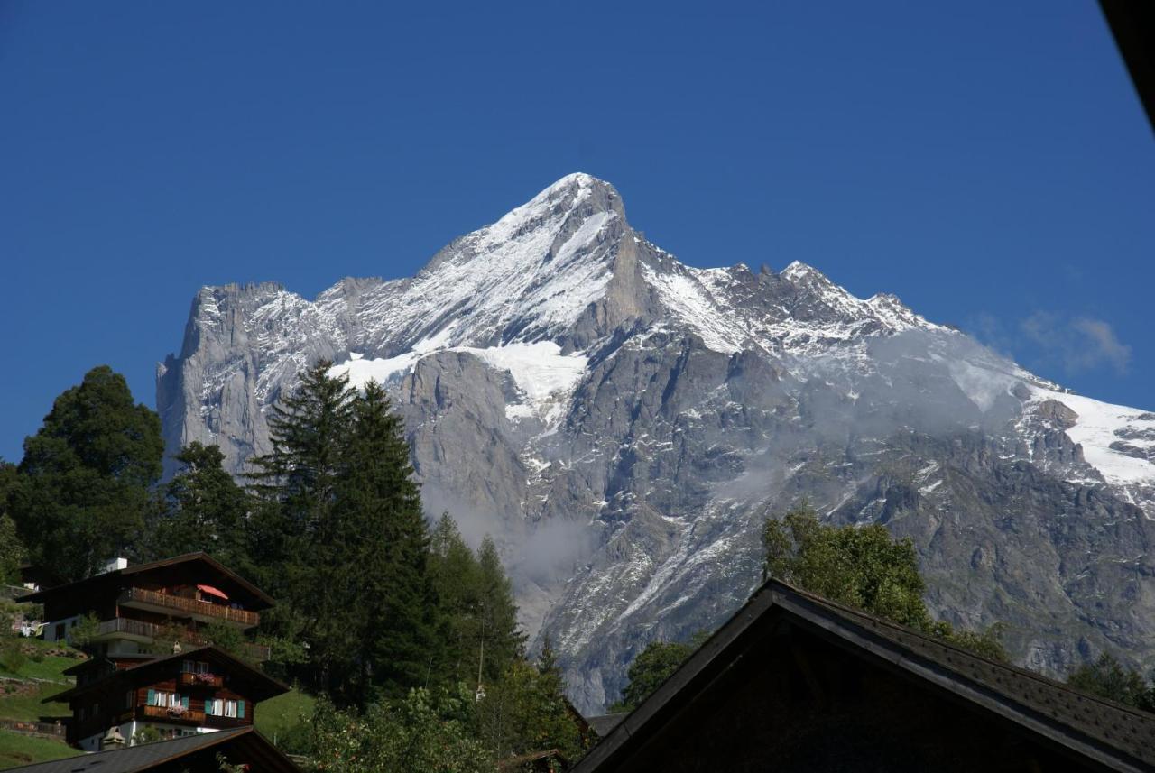 Apartment Baereggblick - Griwa Rent Ag Grindelwald Eksteriør billede